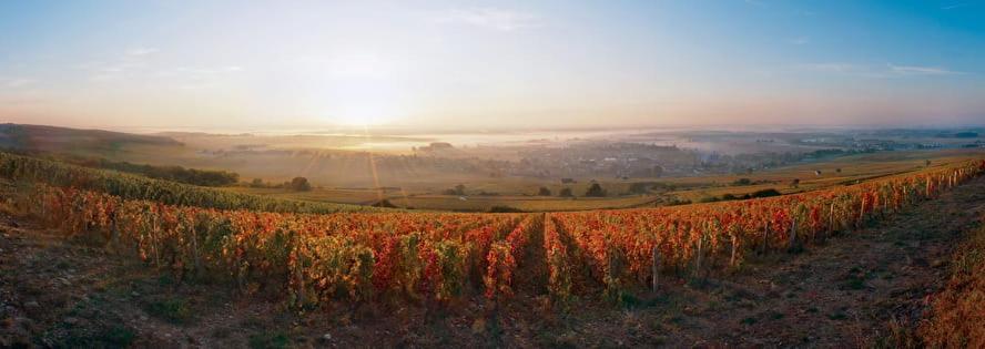 Logis Hotel L'Escargotiere Dijon Sud - Chenove Ngoại thất bức ảnh